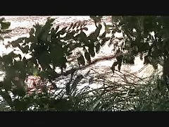 Индонезийски анален 002