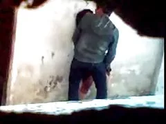 Зиги звезда лястовица натоварване в първия си сцена