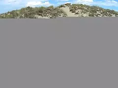 Постави, моля