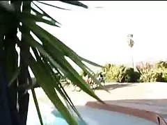 Страстен японски наградата обича млечниче петел