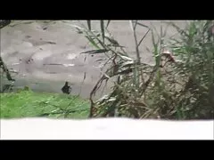 Индонезия Моят секси приятелка