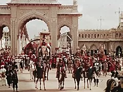 Опашка тайландски вози петел