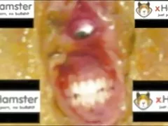 Секси спортен маце Брук Уайлд шибан