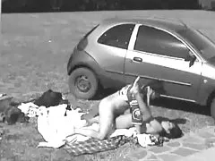 Половин френски и китайски маце чука