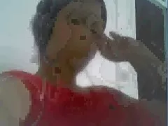 Бозон шибан в парк