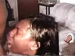 За любителите на азиатски космати путка