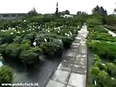 Кученце-стил докато ние свършват заедно