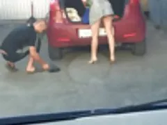 Дребничка японски маце