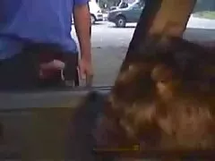 Шизука miwa hcm Сити