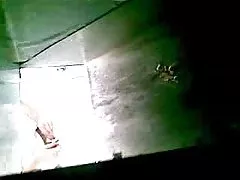 Разпространение