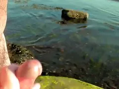 Палави тайландски курва дава Черно родословни минет