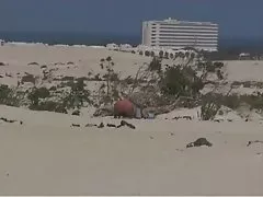 Индонезия това е името на дъщеря част 1