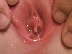 Свършват лястовица компилация