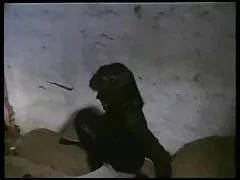 Брюнетка получава си първи лицето, много от заедно